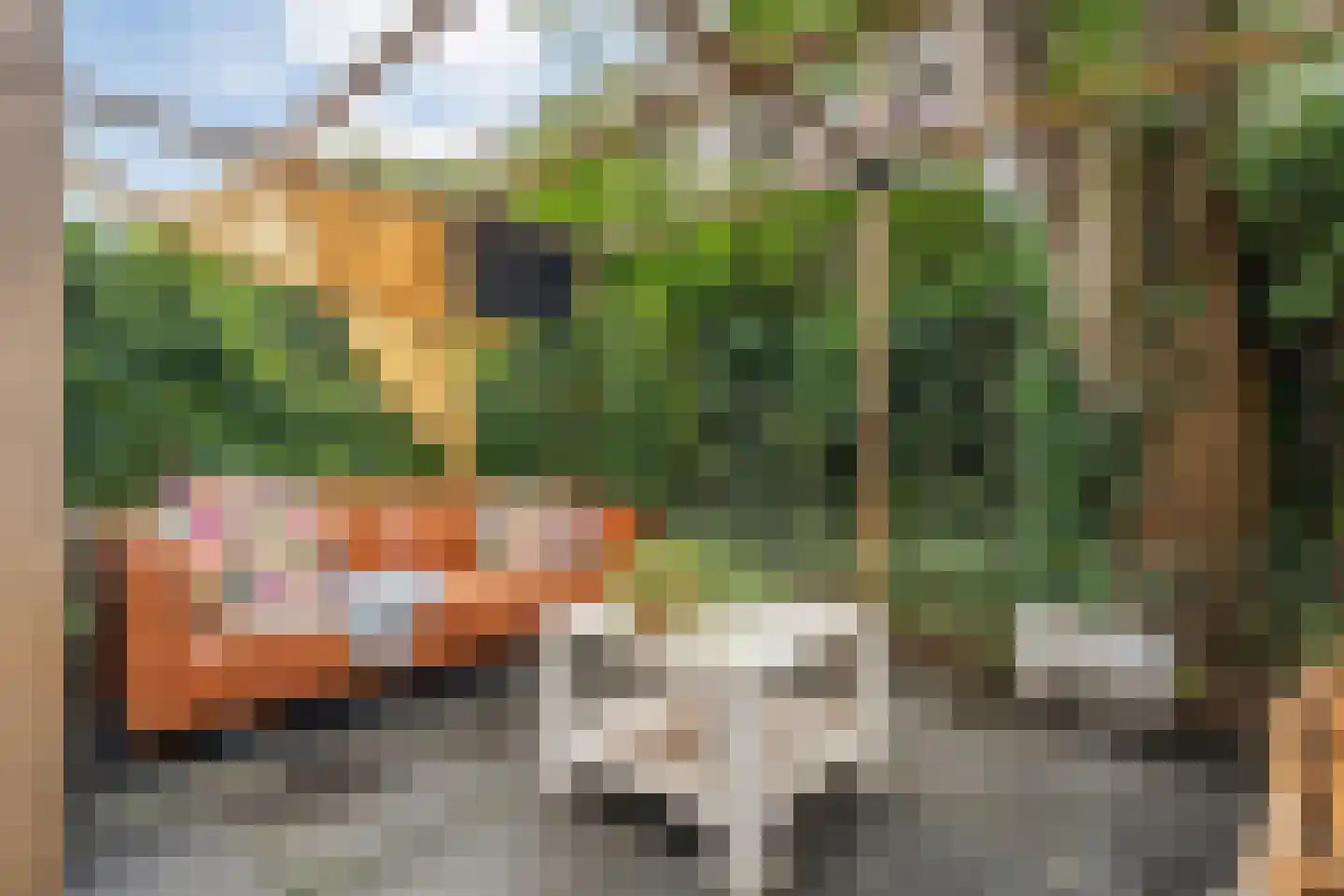 Schelpkreek 5 Zwolle thumbnail 43