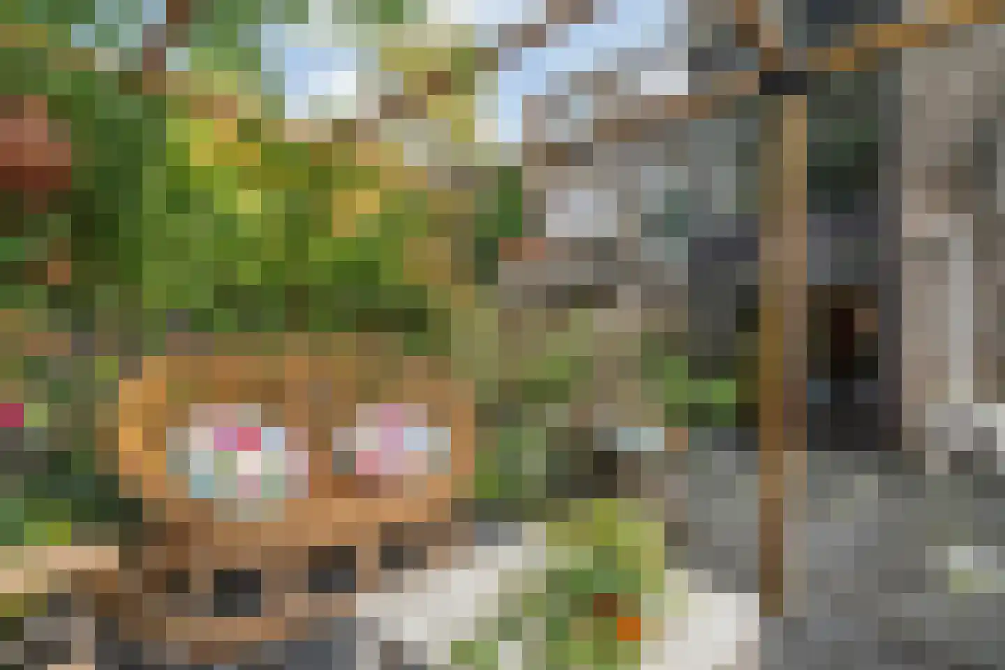 Schelpkreek 5 Zwolle thumbnail 44