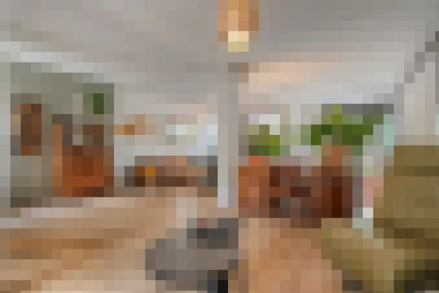 Schelpkreek 5 Zwolle thumbnail 5