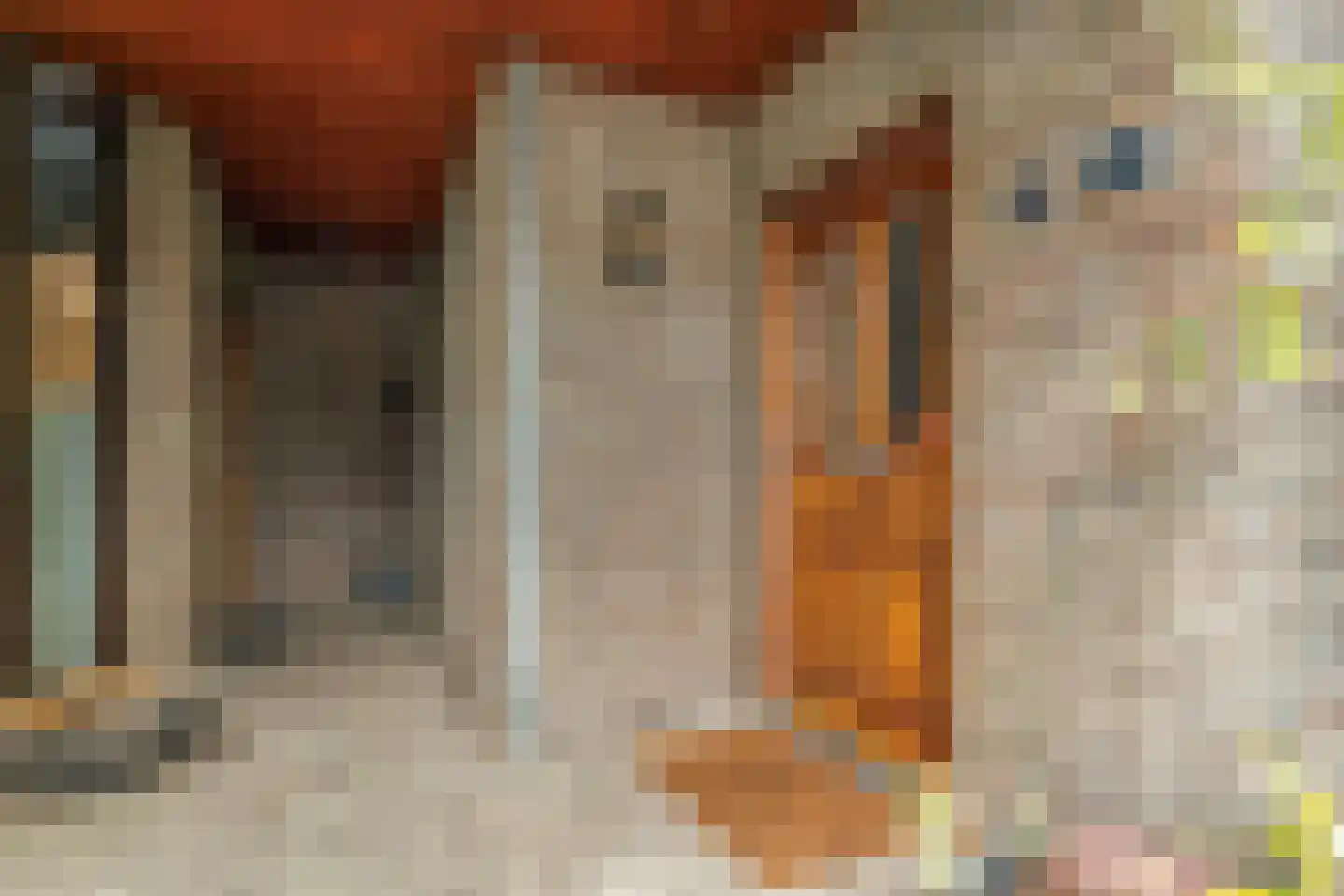 Schelpkreek 5 Zwolle thumbnail 51