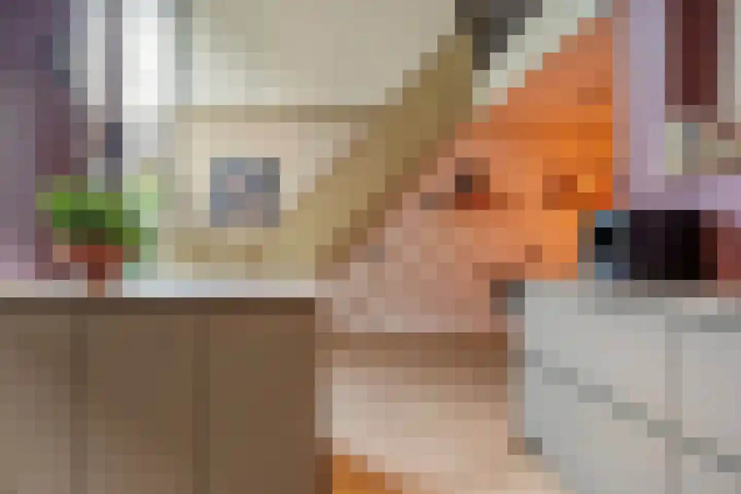 Schelpkreek 5 Zwolle thumbnail 7