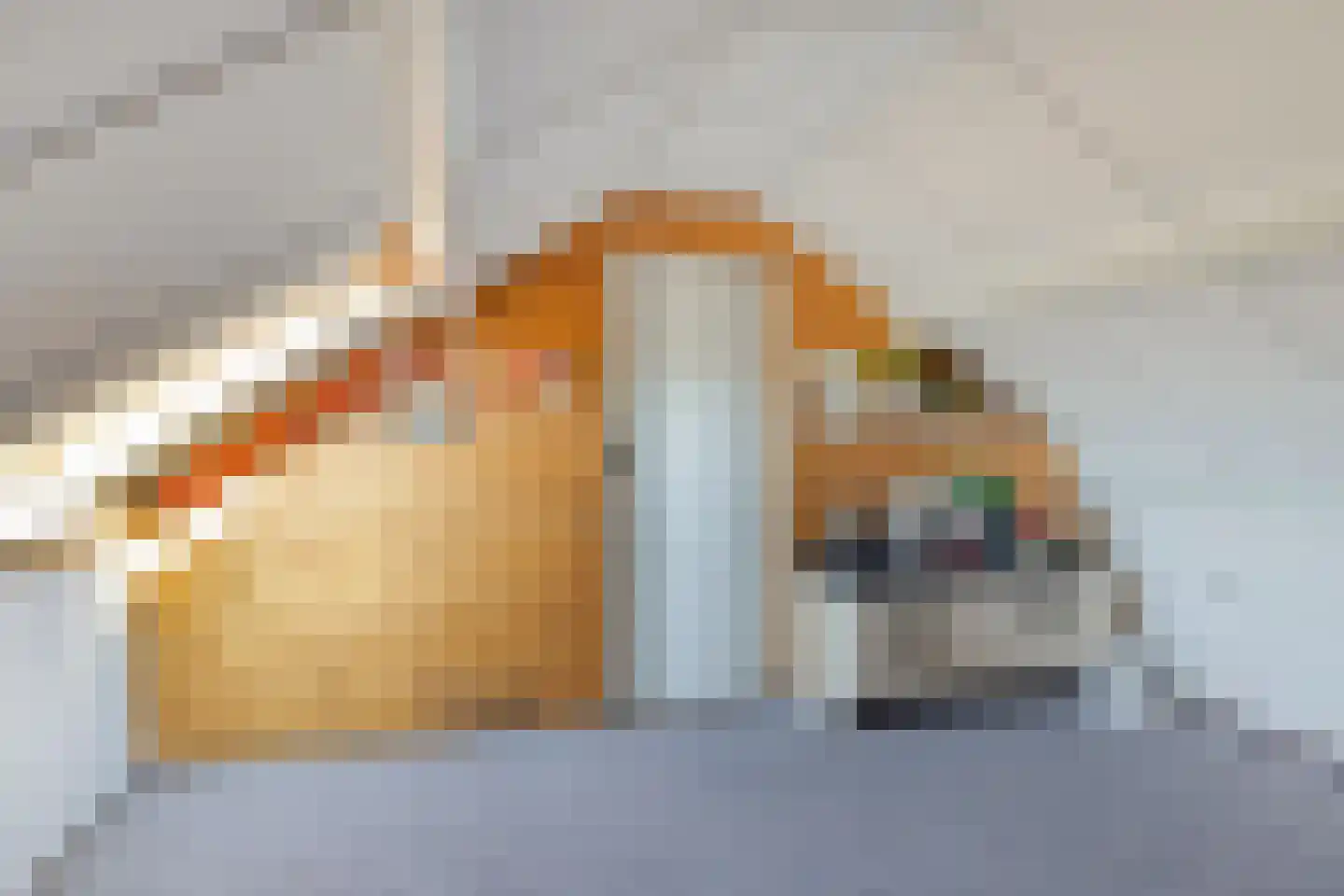 Schelpstraat 51 Halsteren thumbnail 20