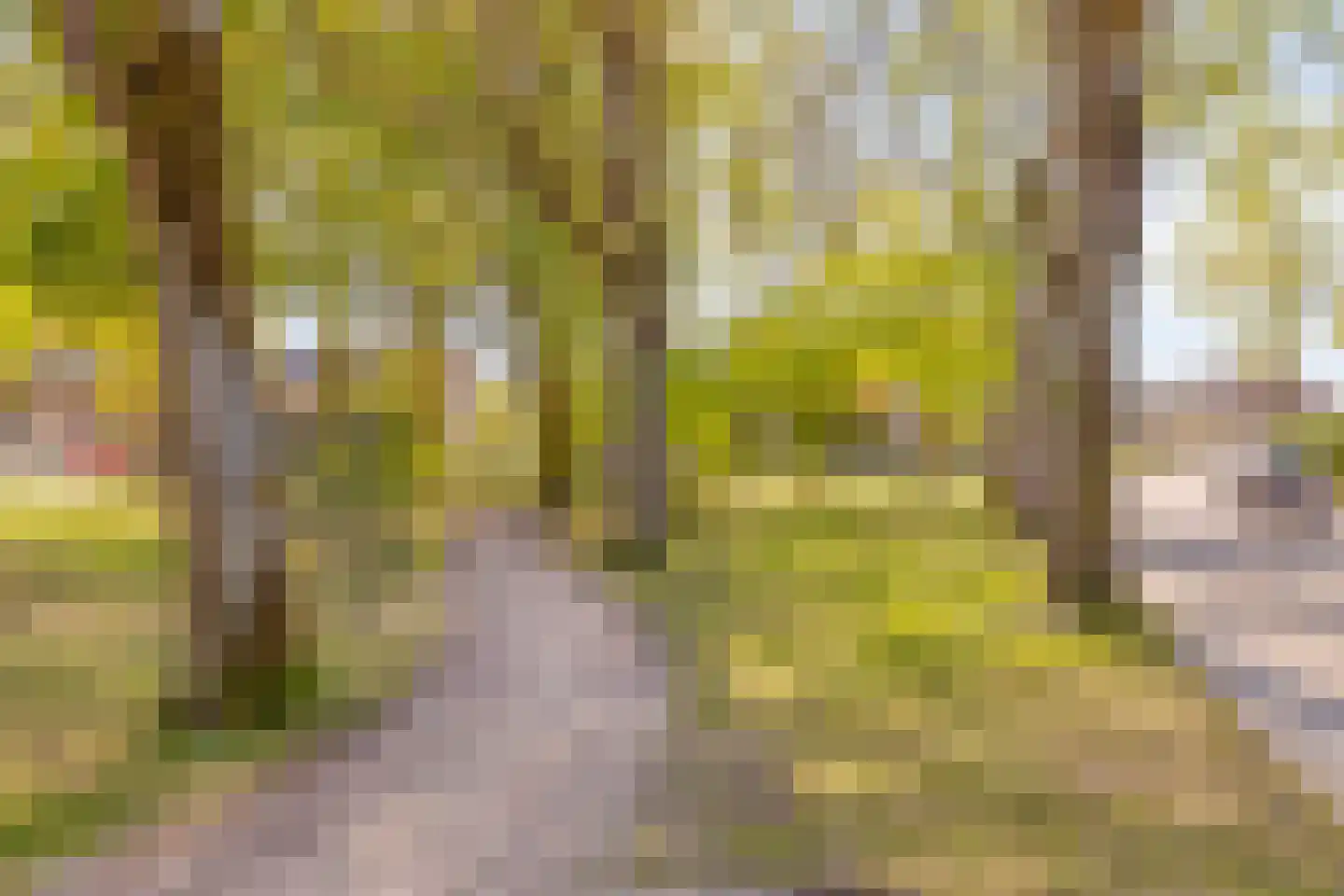Schelpstraat 51 Halsteren thumbnail 28