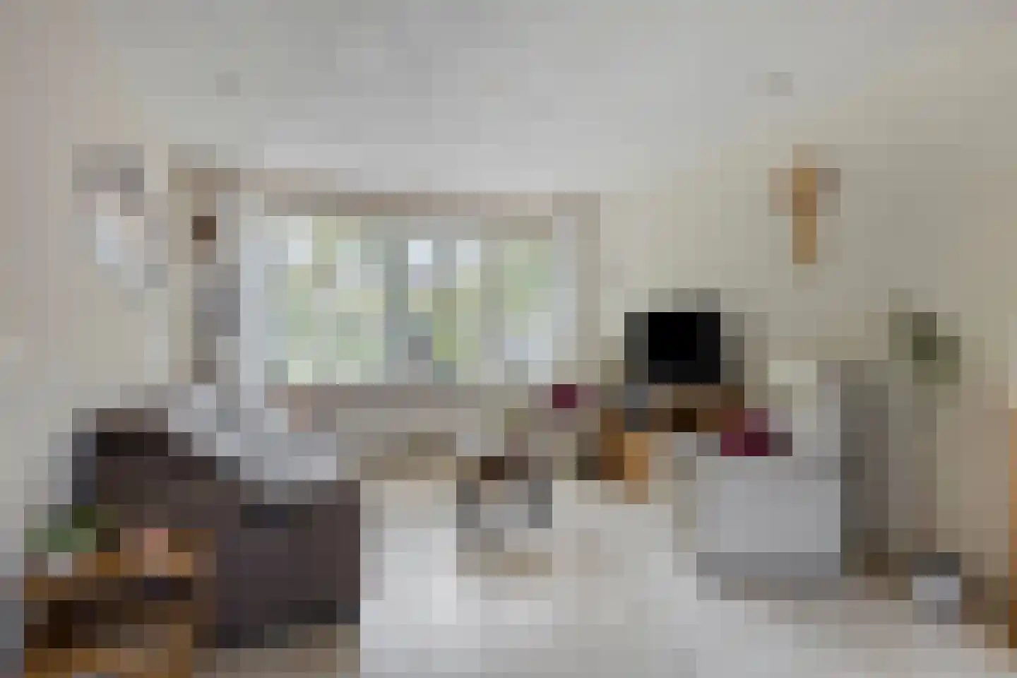 Schelpstraat 51 Halsteren thumbnail 4