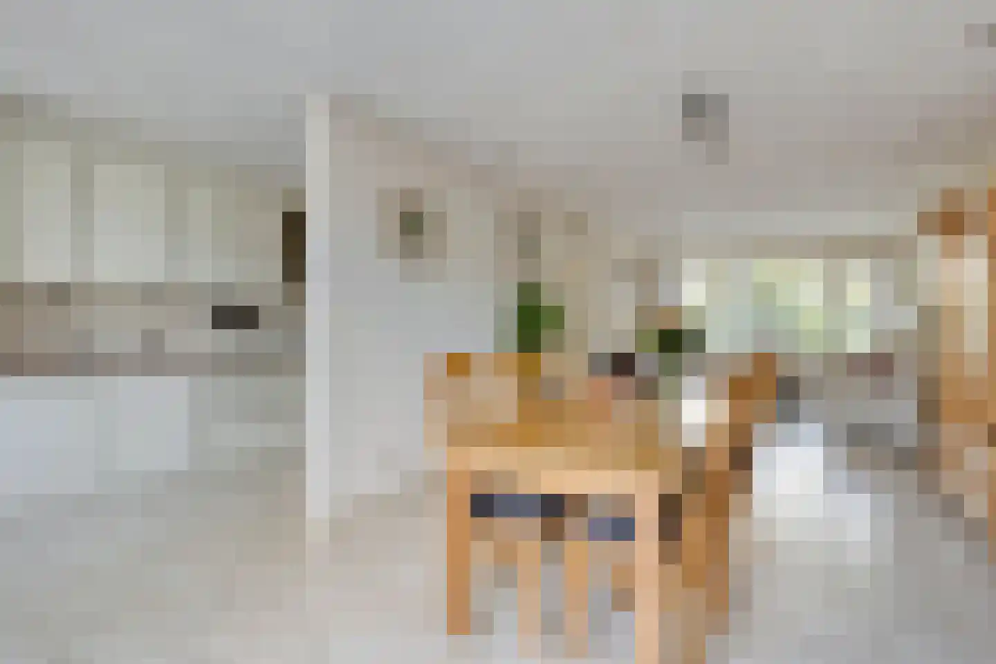 Schelpstraat 51 Halsteren thumbnail 7