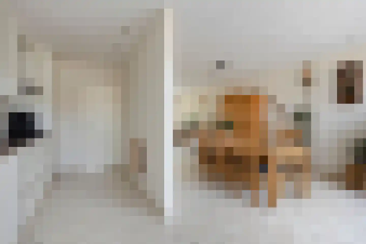 Schelpstraat 51 Halsteren thumbnail 8