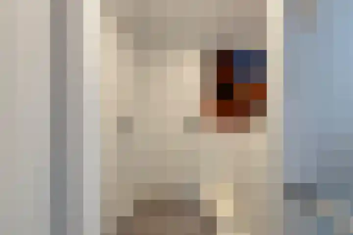 Schelpstraat 76 Halsteren thumbnail 12