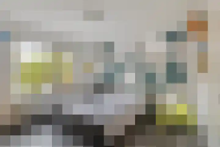 Schelpstraat 76 Halsteren thumbnail 13