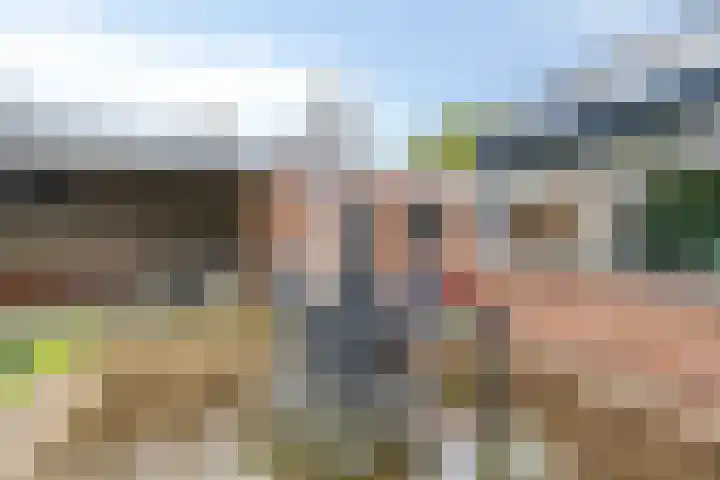 Schelpstraat 76 Halsteren thumbnail 23