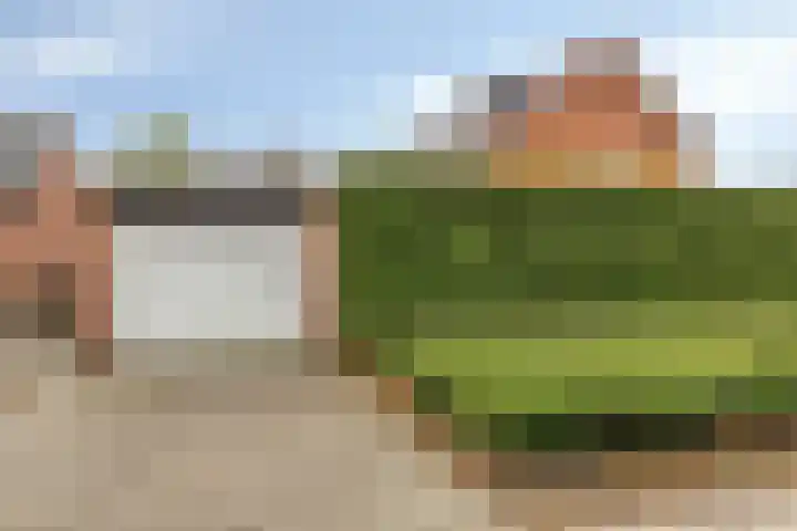 Schelpstraat 76 Halsteren thumbnail 25