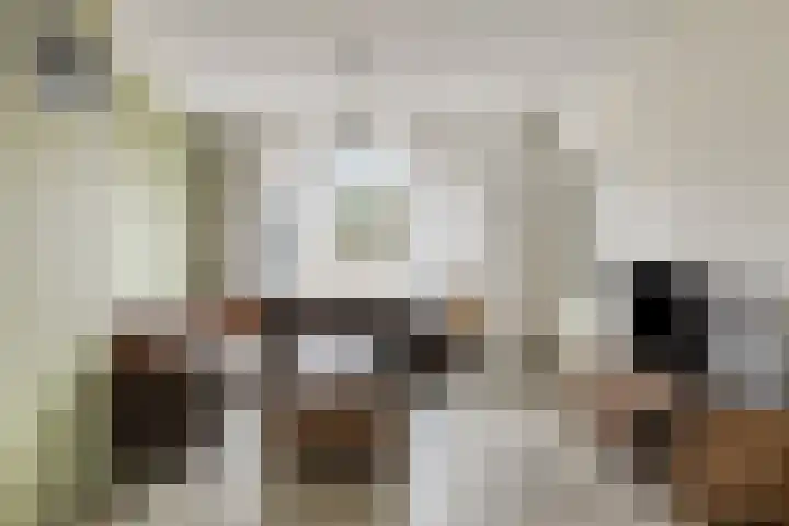 Schelpstraat 76 Halsteren thumbnail 4