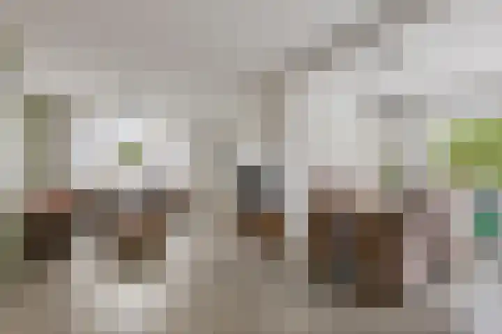 Schelpstraat 76 Halsteren thumbnail 8