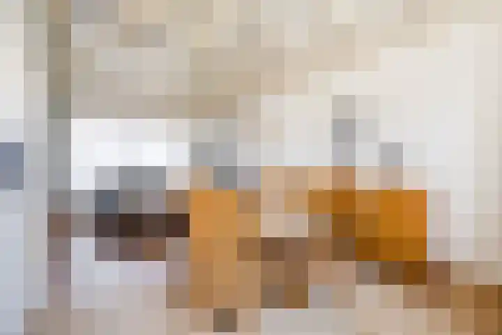 Schelpstraat 8 Halsteren thumbnail 12