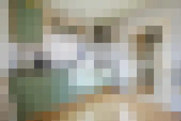 Schelpstraat 8 Halsteren thumbnail 15