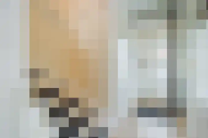 Schelpstraat 8 Halsteren thumbnail 17