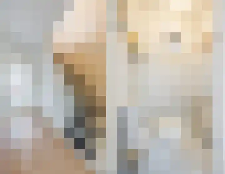 Schelpstraat 8 Halsteren thumbnail 20