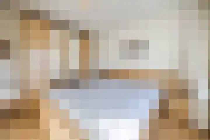Schelpstraat 8 Halsteren thumbnail 22