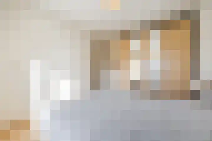Schelpstraat 8 Halsteren thumbnail 23