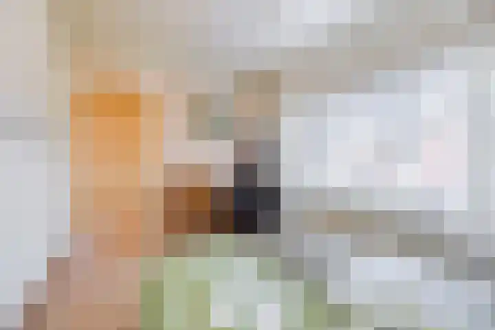 Schelpstraat 8 Halsteren thumbnail 25