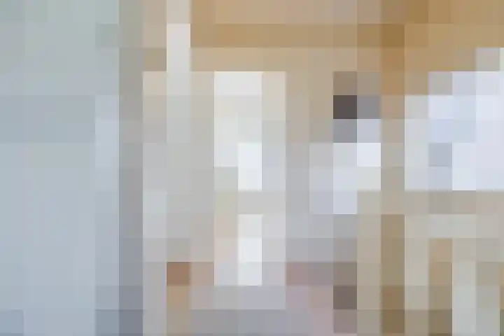 Schelpstraat 8 Halsteren thumbnail 32
