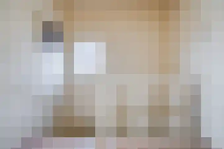 Schelpstraat 8 Halsteren thumbnail 33