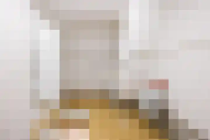 Schelpstraat 8 Halsteren thumbnail 36