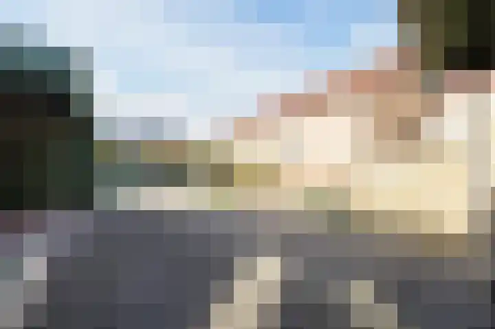 Schelpstraat 8 Halsteren thumbnail 41