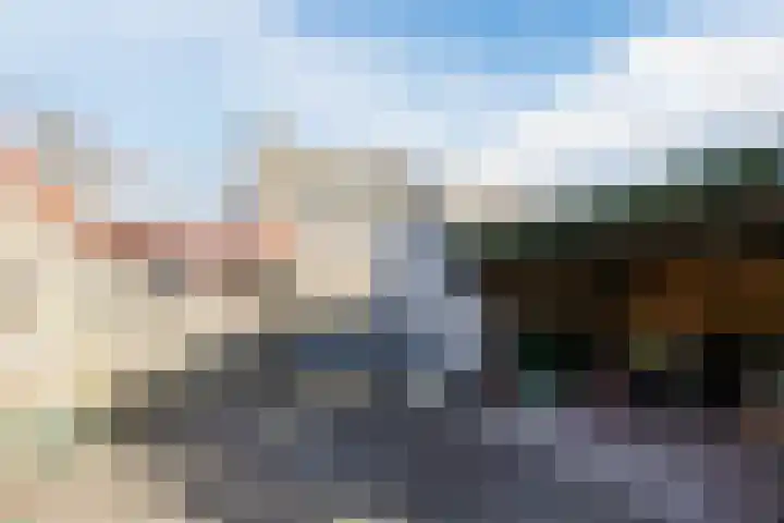Schelpstraat 8 Halsteren thumbnail 42