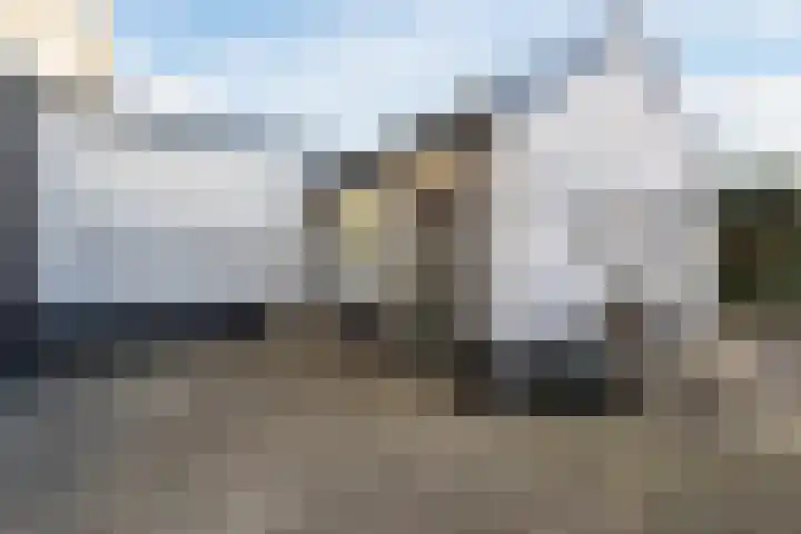 Schelpstraat 8 Halsteren thumbnail 45