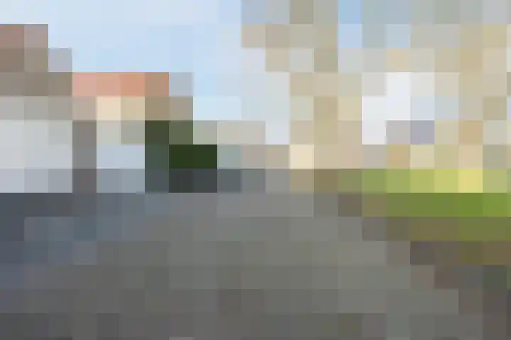 Schelpstraat 8 Halsteren thumbnail 50