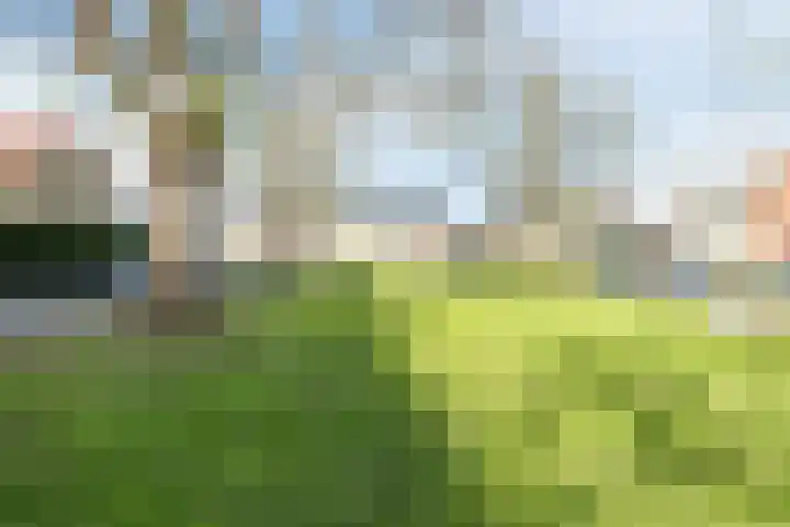 Schelpstraat 8 Halsteren thumbnail 51