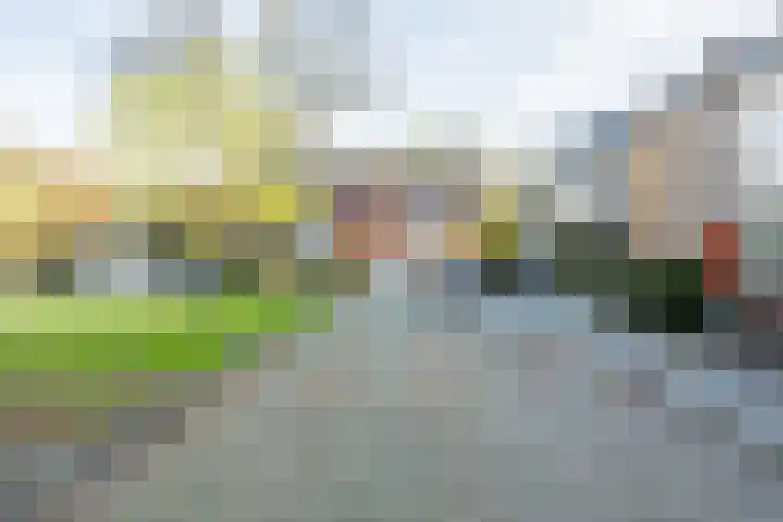 Schelpstraat 8 Halsteren thumbnail 52
