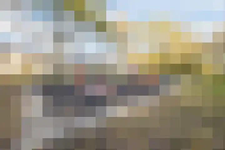 Schelpstraat 8 Halsteren thumbnail 53