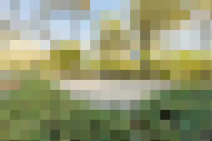 Schelpstraat 8 Halsteren thumbnail 54