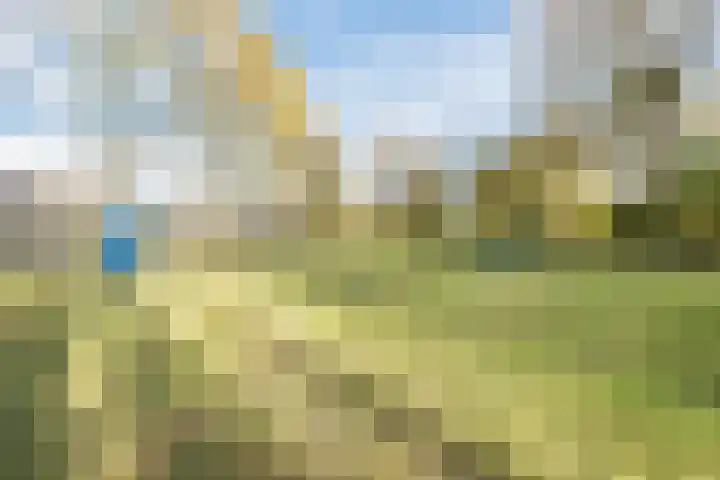 Schelpstraat 8 Halsteren thumbnail 55