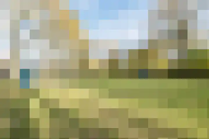 Schelpstraat 8 Halsteren thumbnail 56
