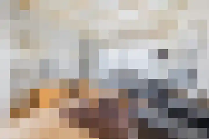 Schelpstraat 8 Halsteren thumbnail 7