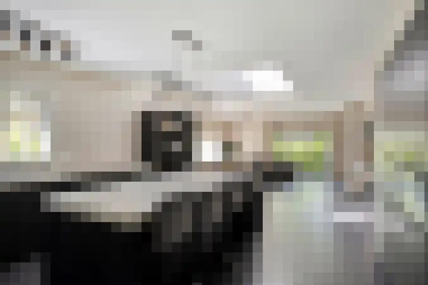 Schelpweg 1 a Ellemeet thumbnail 11