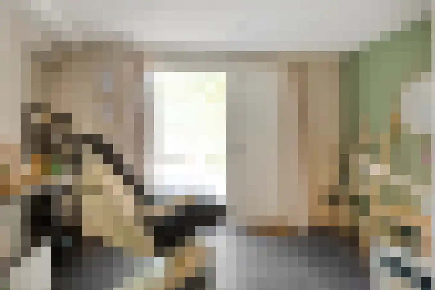 Schelpweg 1 a Ellemeet thumbnail 13