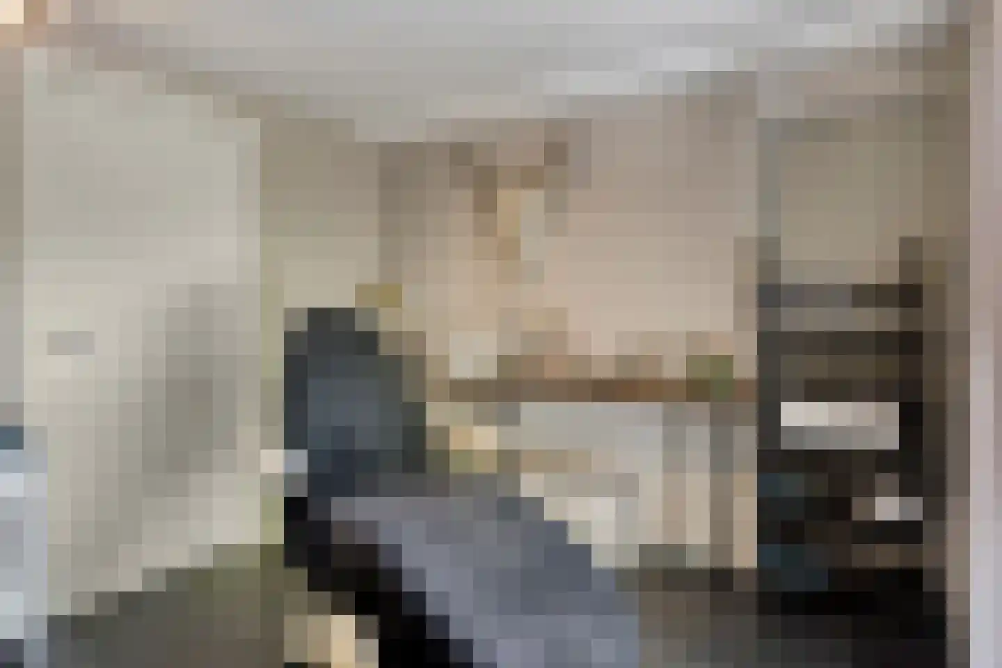 Schelpweg 1 a Ellemeet thumbnail 14