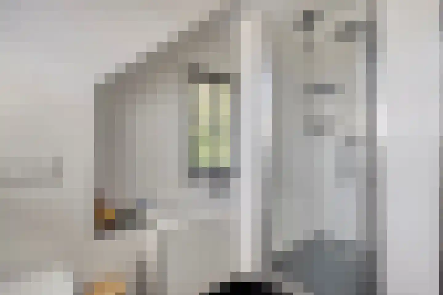 Schelpweg 1 a Ellemeet thumbnail 19