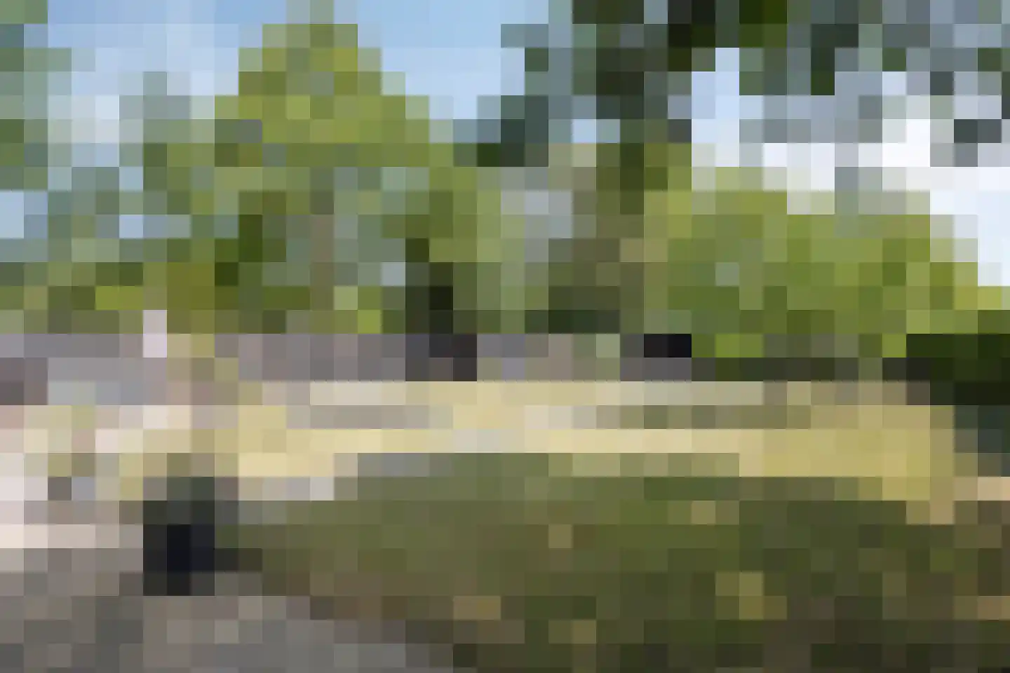 Schelpweg 1 a Ellemeet thumbnail 30