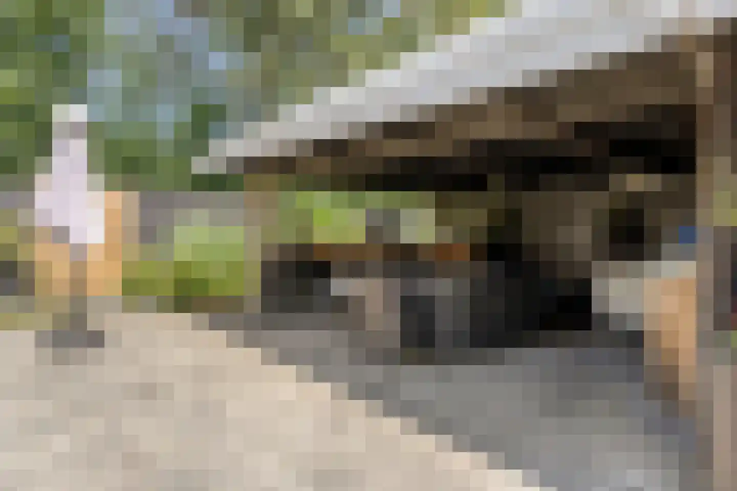 Schelpweg 1 a Ellemeet thumbnail 34