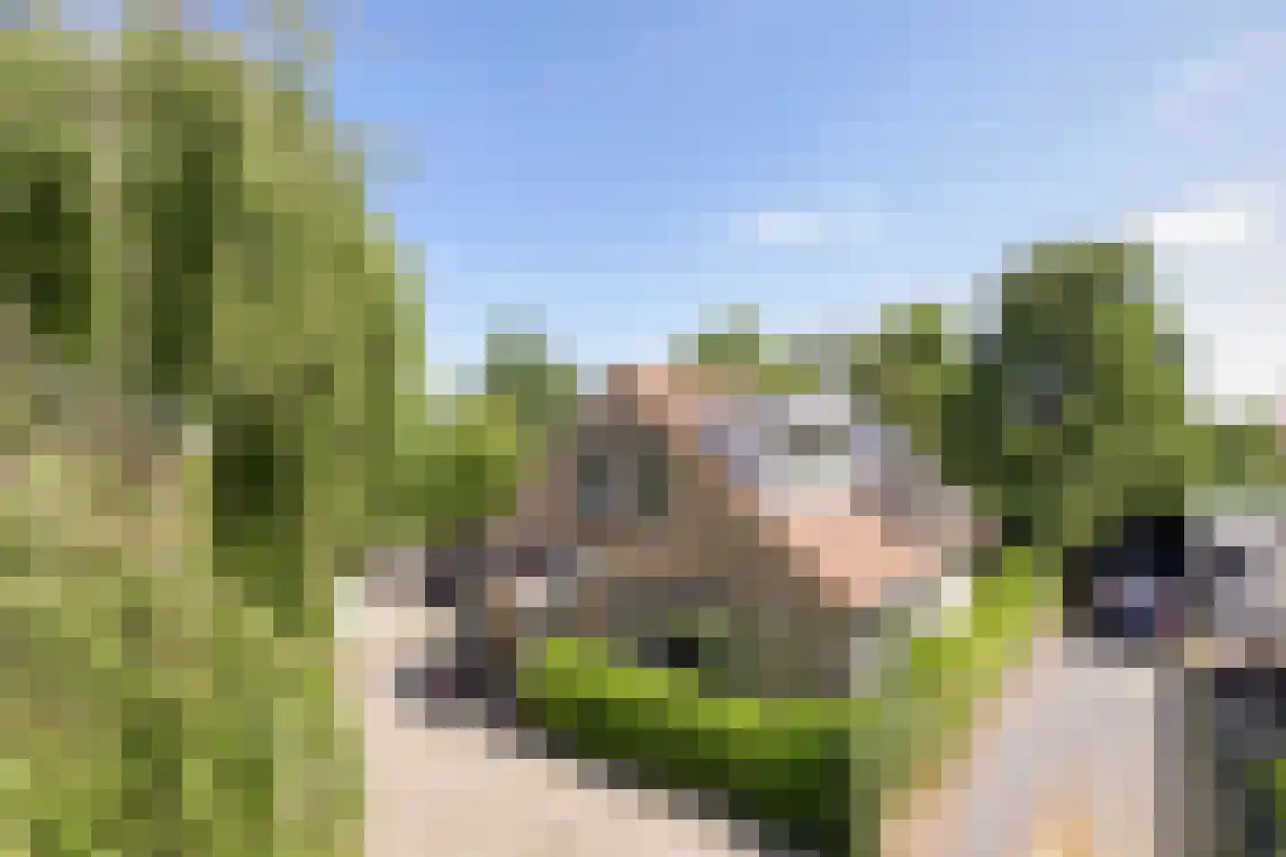 Schelpweg 1 a Ellemeet thumbnail 38