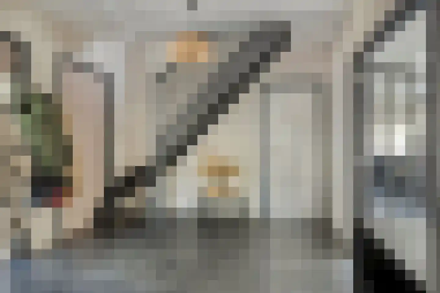 Schelpweg 1 a Ellemeet thumbnail 4