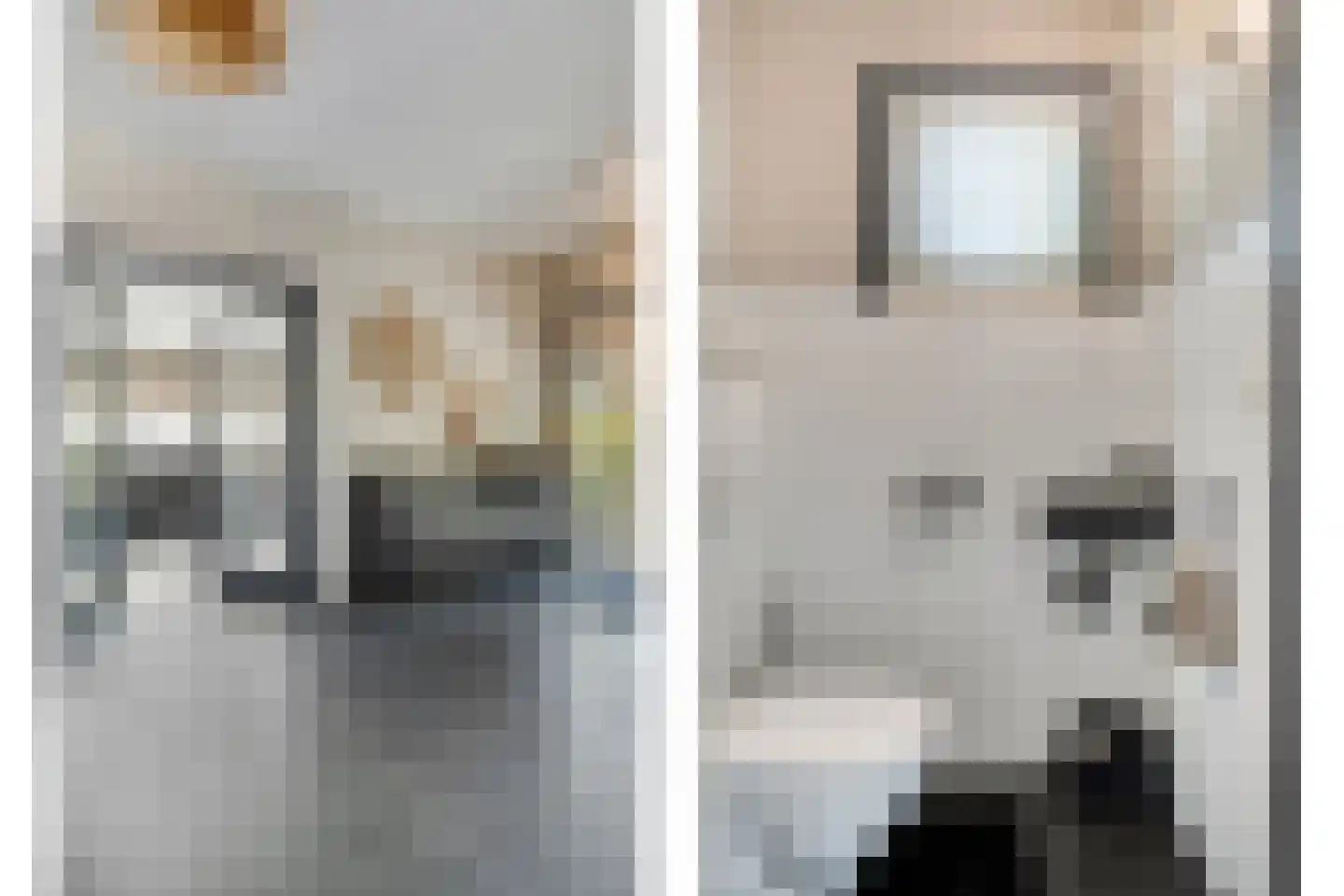 Schelpweg 1 a Ellemeet thumbnail 5
