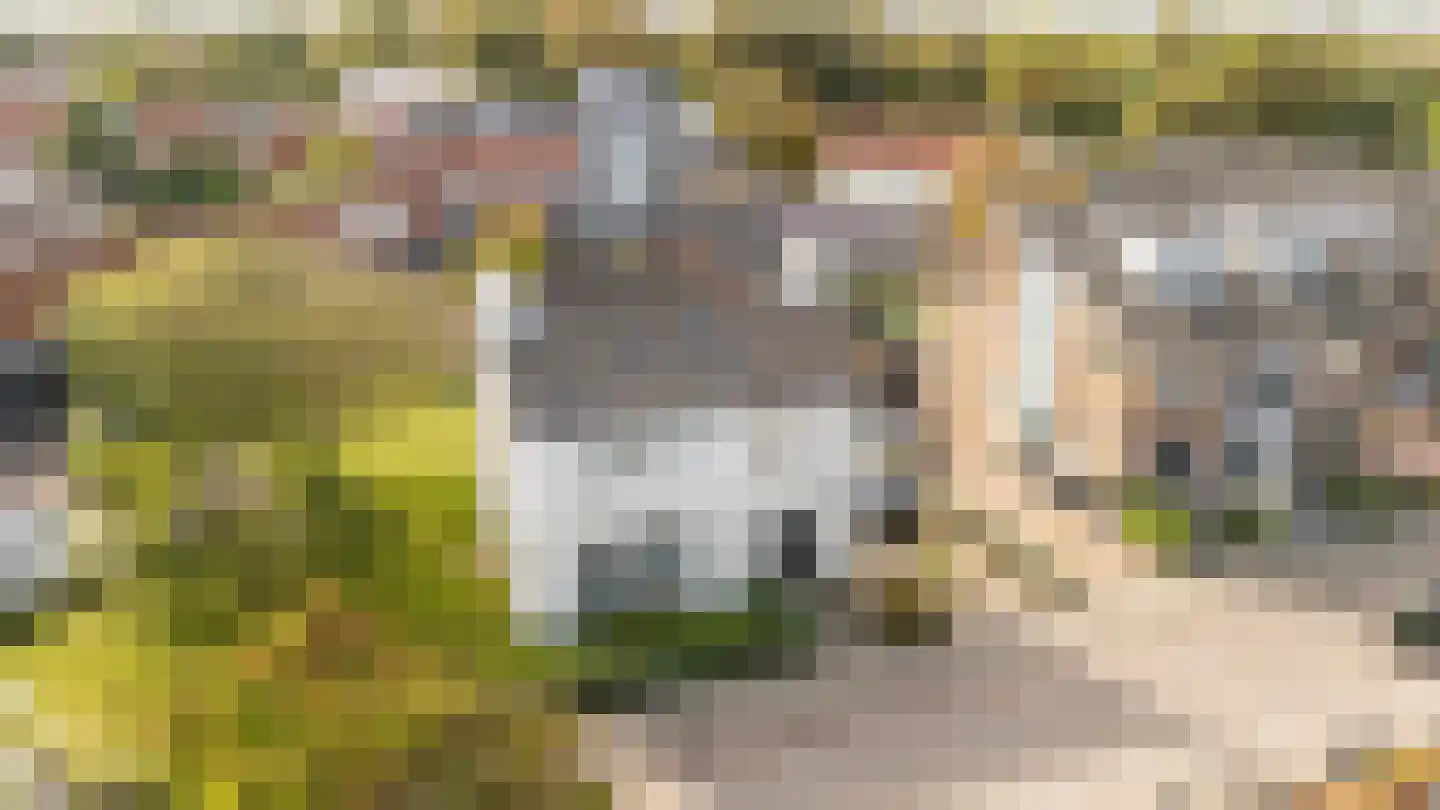 Schelpweg 1 Domburg thumbnail 43