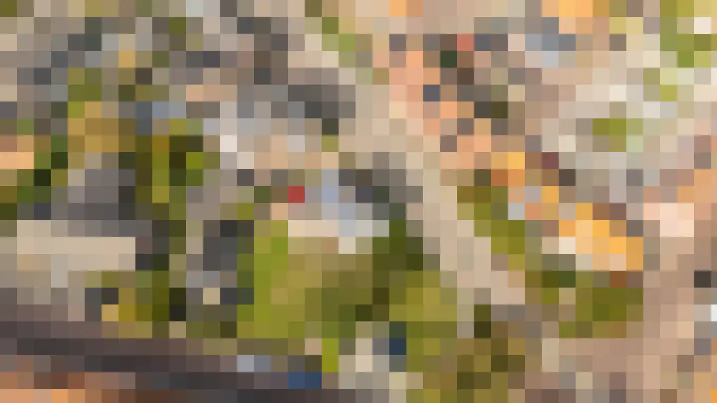 Schelpweg 1 Domburg thumbnail 47