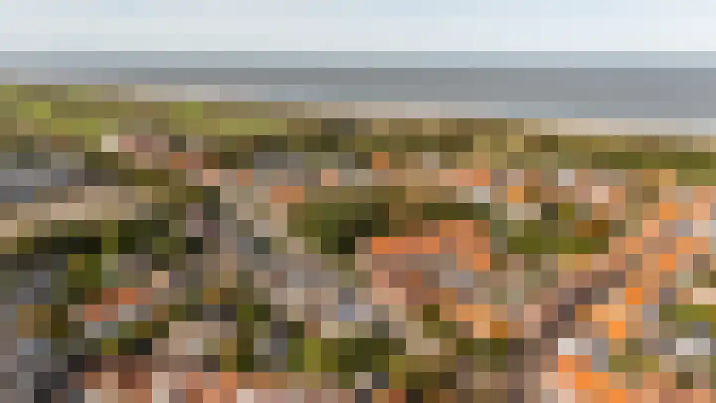 Schelpweg 1 Domburg thumbnail 48