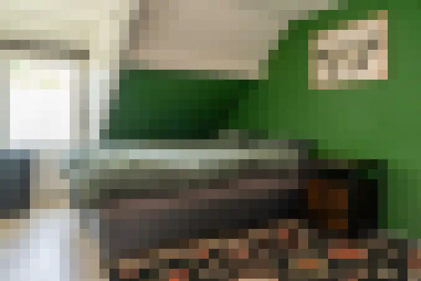 Schelpweg 12 Ellemeet thumbnail 18